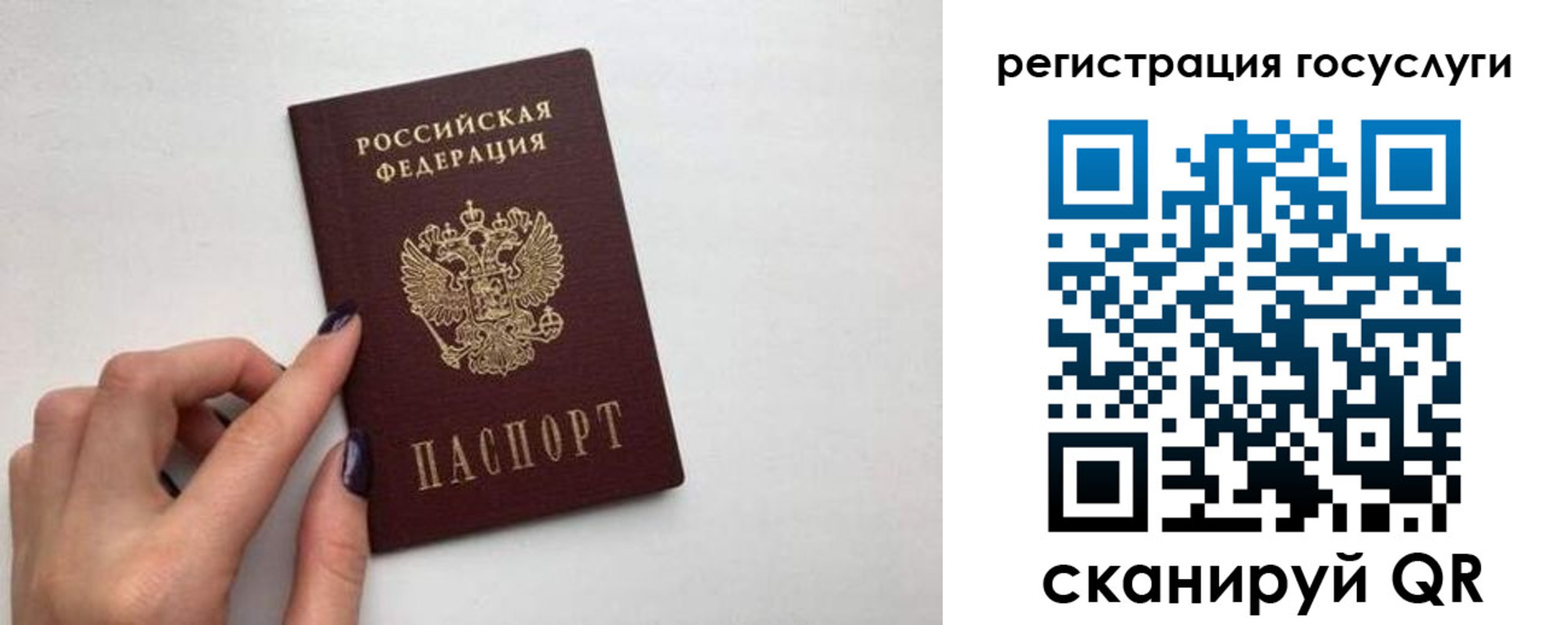 временная регистрация гарантия в Копейске